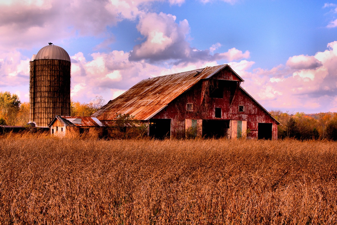 barn-4043894_1280